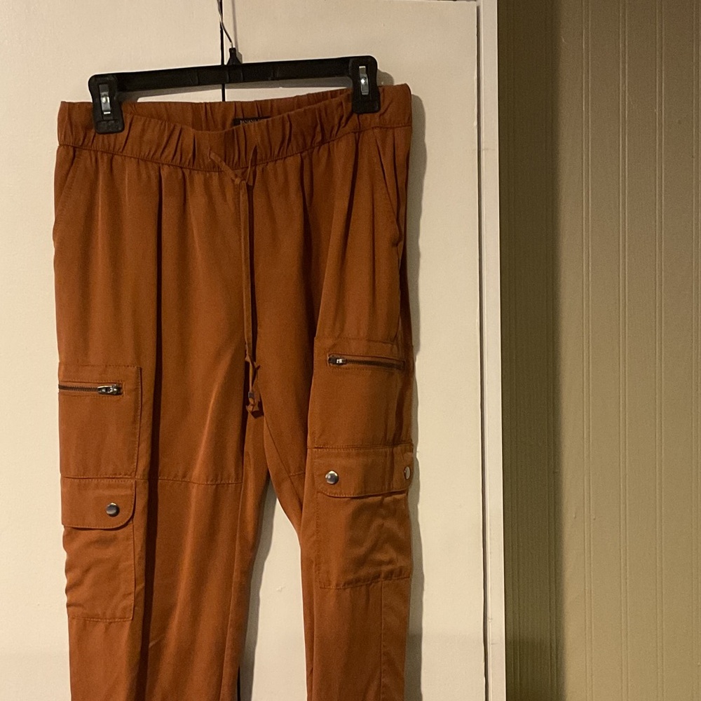 Banana Republic Terracotta Cargo Pants